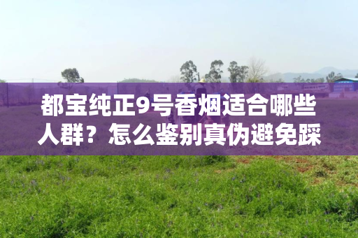 都宝纯正9号香烟适合哪些人群？怎么鉴别真伪避免踩坑？